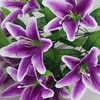 trichardsgift02